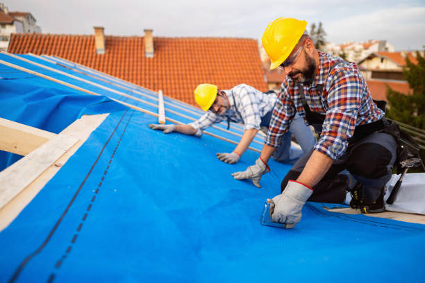 Quick and Trustworthy Emergency Roof Repair Services in Collins, MS