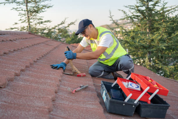 Best Metal Roofing Contractor  in Collins, MS
