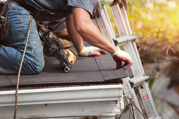 Best Flat Roof Repair Services  in Collins, MS