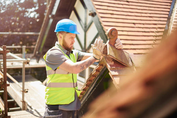 Professional Roofing Contractor in Collins, MS
