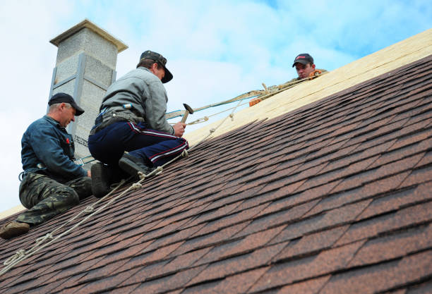 Best Local Roofing Companies  in Collins, MS