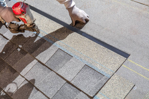 Best Roof Repair Services  in Collins, MS
