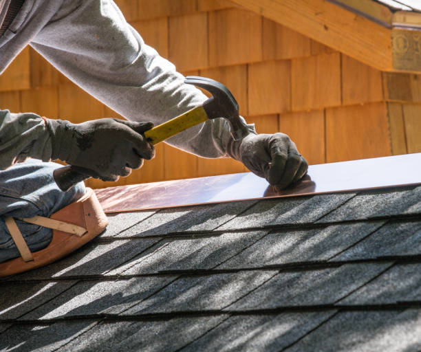 Best New Roof Installation  in Collins, MS
